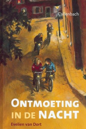 Ontmoeting in de nacht