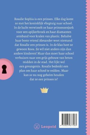 Geheim van de Stoere Prinses