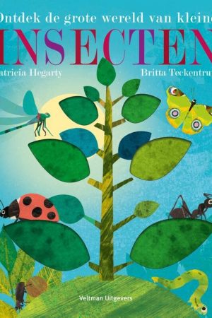 Ontdek de Grote Wereld van Kleine Insect